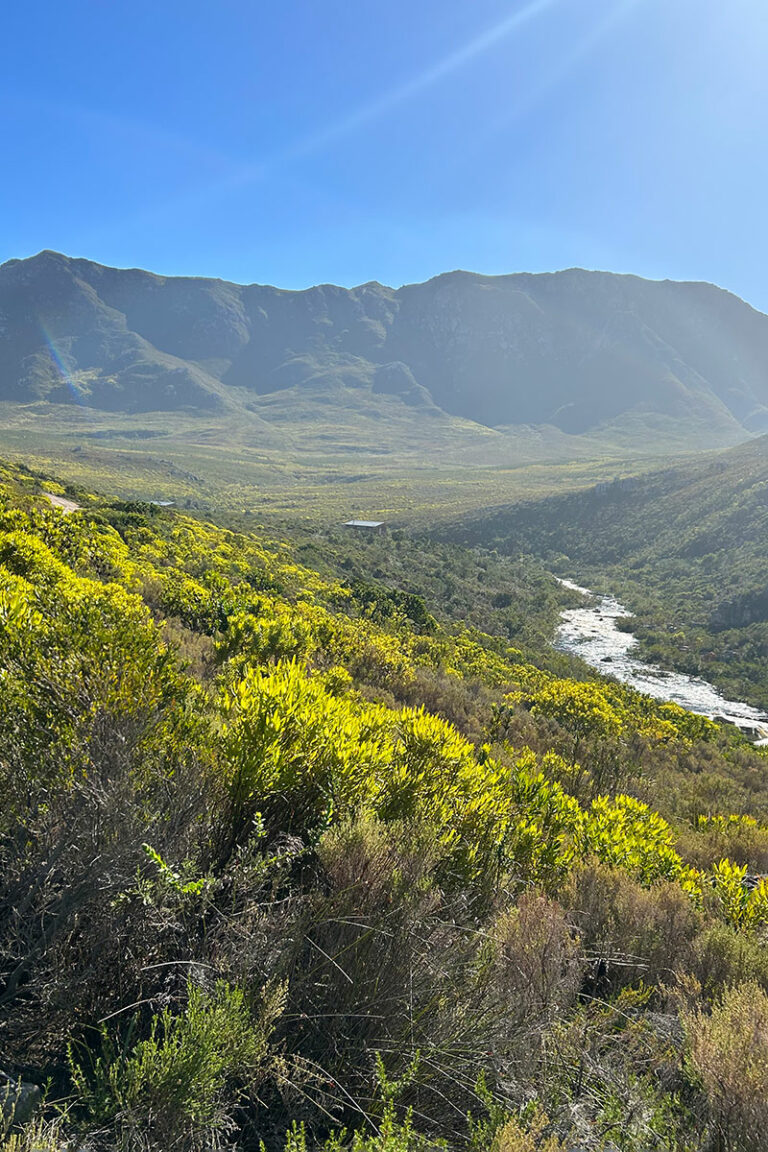 Honeycomb-Mountain-view