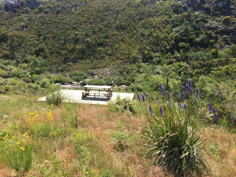 Downstream Cottage river deck