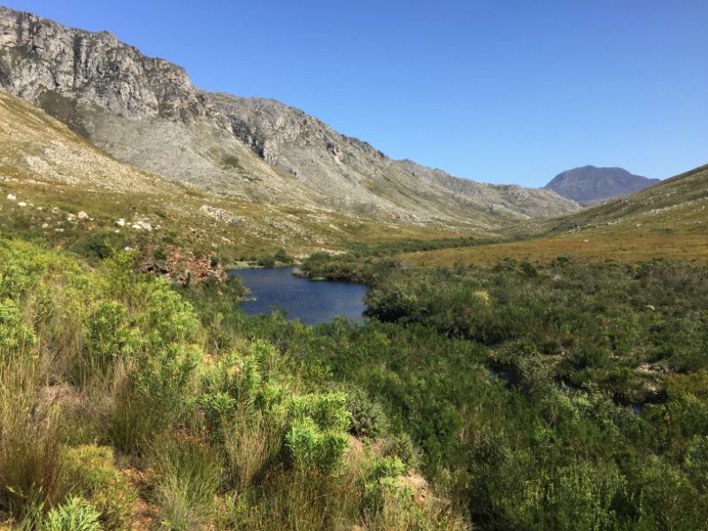The Palmiet River Trail in Kogelberg Nature Reserve.