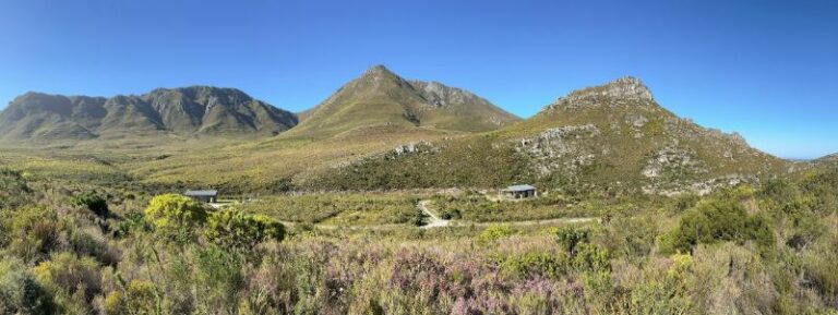 Upstream Cottage deck