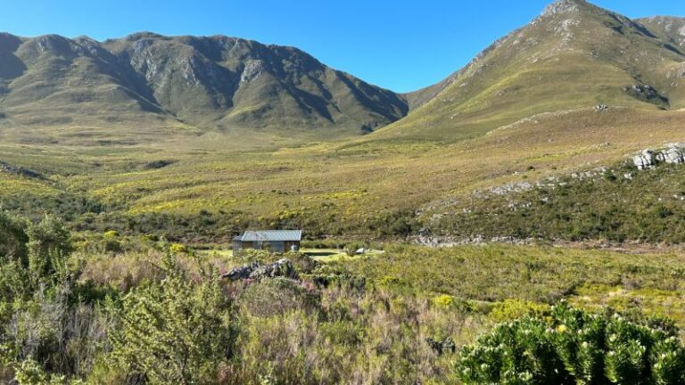 Upstream Cottage view